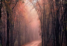 国务院重拳出击,烟草市场专项整治行动全面启动