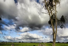 国务院重拳出击,烟草市场专项整治行动全面启动